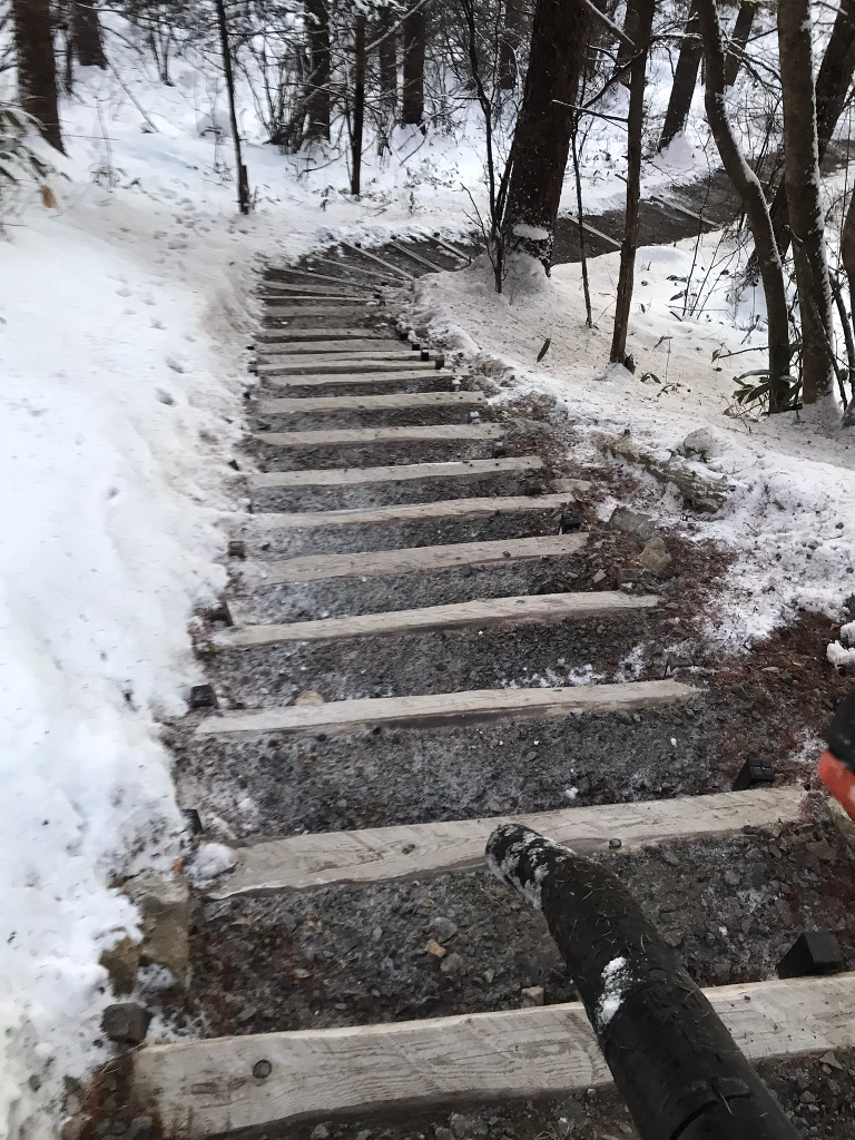 アプローチ階段の雪をブロアで飛ばす