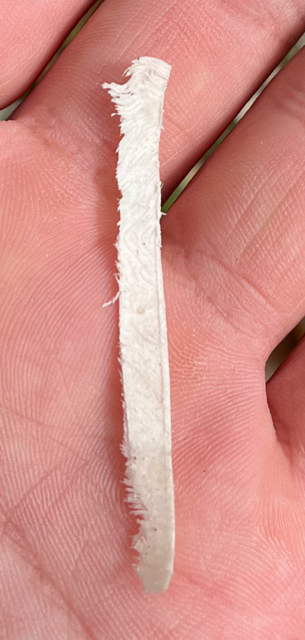 横刃が先に切っていることがわかる切り子