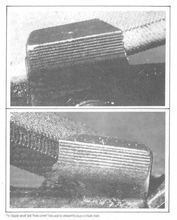 The Fundamental of General Tree Work by ©G.F.Beranek P.153