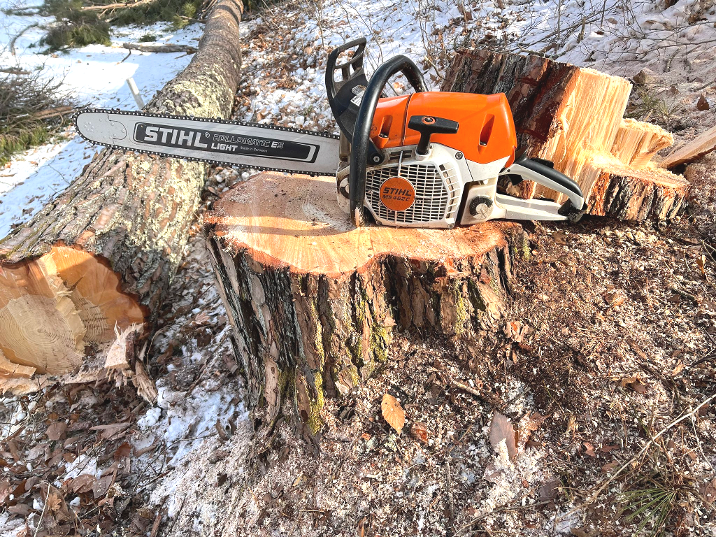 My STIHL MS462