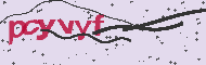 Captcha認証コード