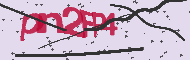 Captcha認証コード