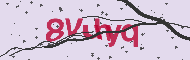 Captcha認証コード